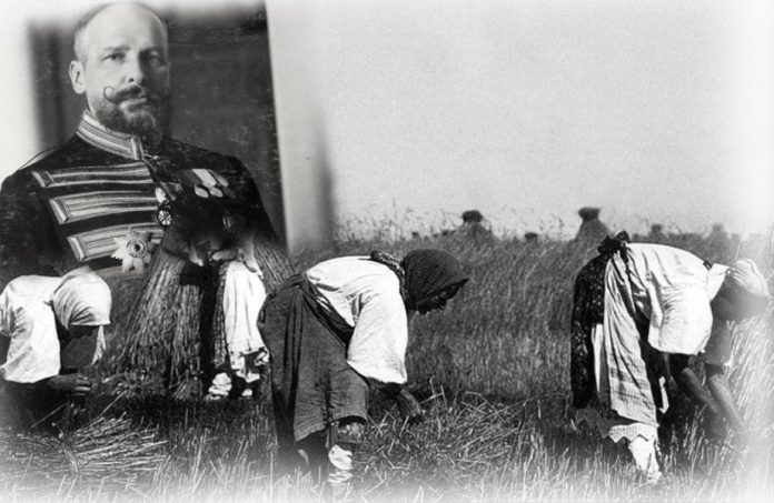 главная_реформа